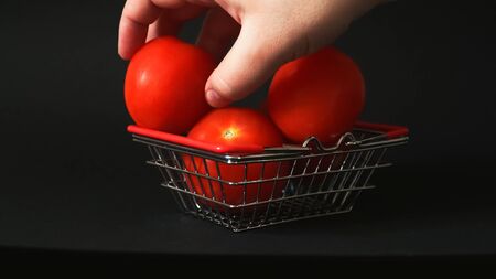 Hand a man lays out and collects tomatoes in a small basket for the storeの写真素材