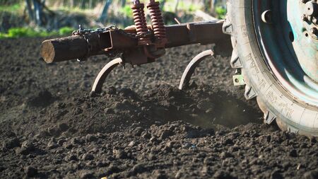 The tractor cultivates and cuts furrows in the field. Tractor work in the black soil field in the villageの写真素材