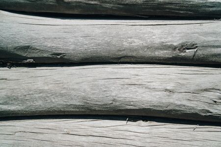 Abstract wooden background. Texture of an old treeの写真素材