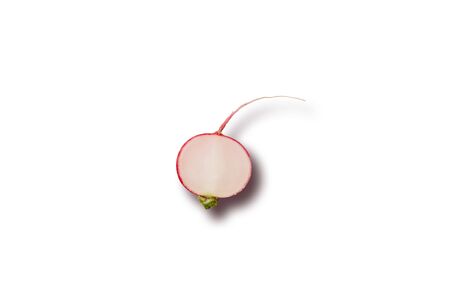Red radish on a white backgroundの写真素材