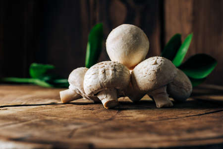 Mushrooms on a wooden background close up