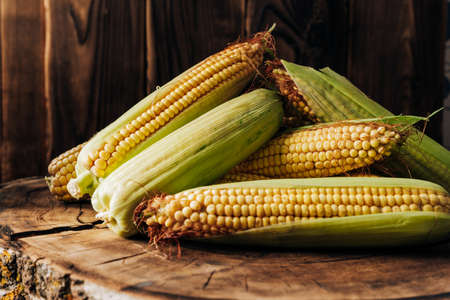 Fresh corn on the cob on a brown natural wood background close upの写真素材