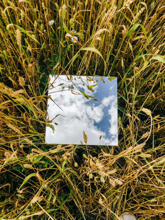 Square mirror in wheat ears with reflected blue sky and white cloudsの写真素材