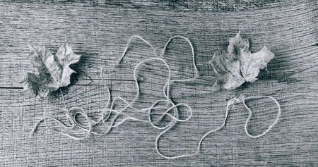 Autumn composition of dry leaves on an old Board
