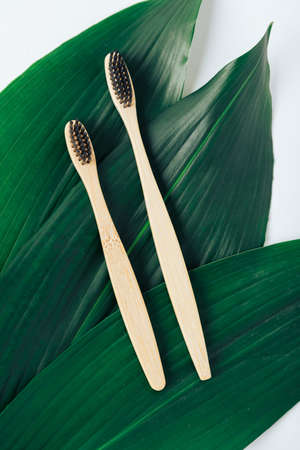 Toothbrushes made of natural bamboo close-up close with green leavesの写真素材