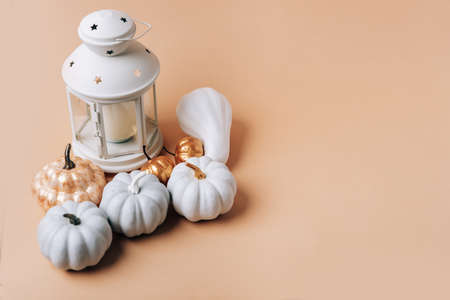 Autumn layout with pumpkins on a rose background