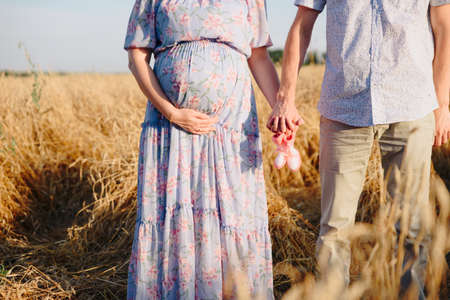 Pregnant girl with her husband holding hands in nature in the fieldの写真素材
