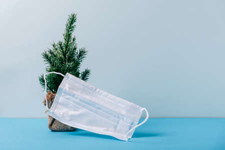 Christmas layout with a Christmas tree and a medical mask on a blue backgroundの写真素材