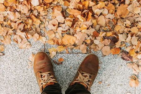 Gray stone pavement texture. Paving stones with yellow autumn leaves