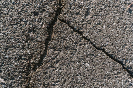 Texture of gray dry asphalt with cracks close up