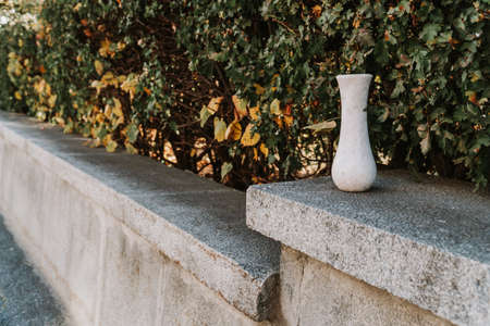 Marble empty vase on green leaves background outdoorsの写真素材