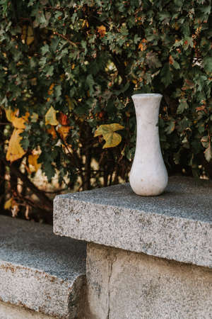 Marble empty vase on green leaves background outdoorsの写真素材