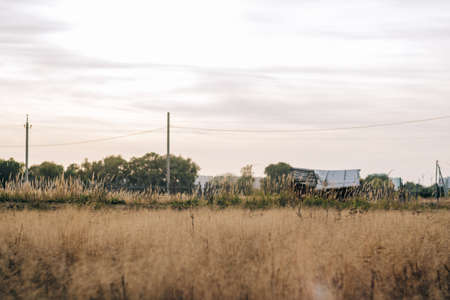 rural summer landscape with broken village fence