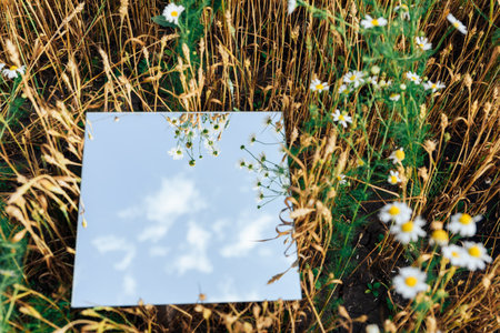 Square mirror in wheat ears with reflectedの写真素材