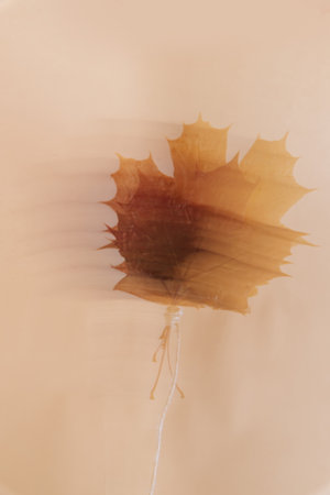 Abstract blurry image of dry autumn leaves on a light pink background 1の写真素材