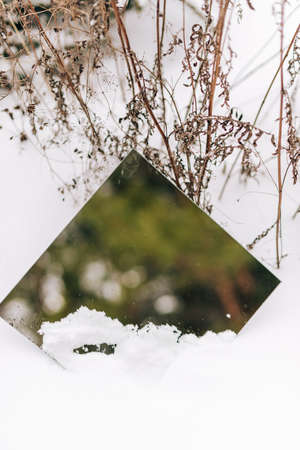 A mirror in the snow with a reflection of a fir tree