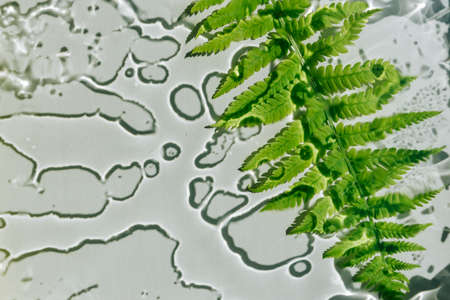 Texture of water shadows on glass 1の写真素材