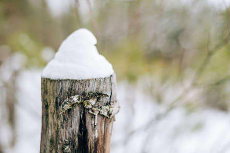 An old log with a snow capの写真素材