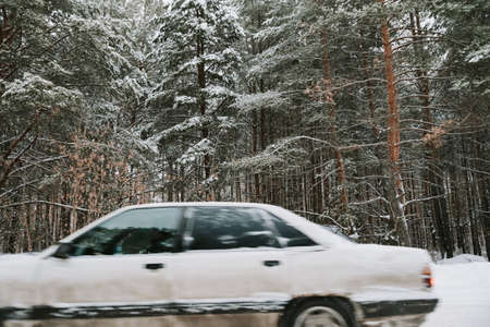 A blurry car on the background of snowy pinesの写真素材