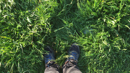 Feet in shoes on the green spring grass top viewの写真素材