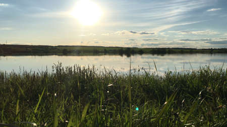 Beautiful summer sunset over a pond in the countrysideの写真素材