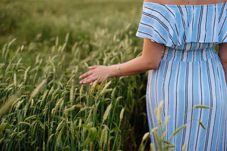 Beautiful young woman in summer in a wheat fieldの写真素材