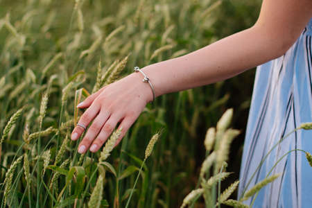 Beautiful young woman in summer in a wheat fieldの写真素材