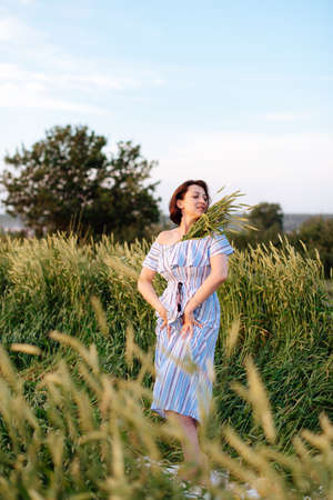Beautiful young woman in summer in a wheat field 1の写真素材