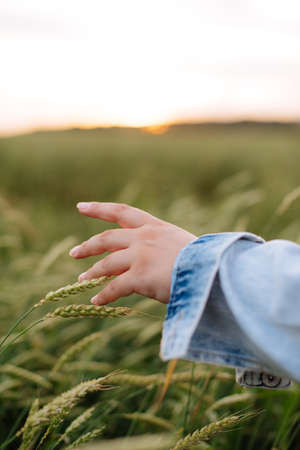 Beautiful young woman in summer in a wheat field 1の写真素材