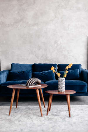 Decor of a room with a sofa in a modern styleの写真素材