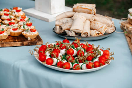 Catering in the outdoor summer park 1の写真素材