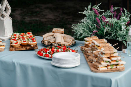 Catering in the outdoor summer park 1の写真素材