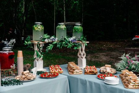 Catering in the outdoor summer park 1の写真素材