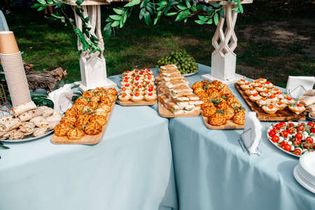 Catering in the outdoor summer park 1の写真素材