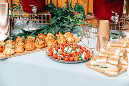 Catering in the outdoor summer park 1の写真素材