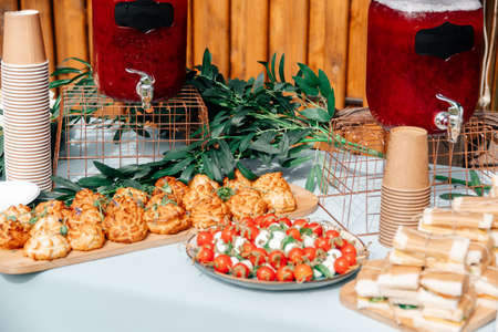 Catering in the outdoor summer park 1