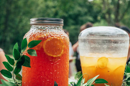 Catering in the outdoor summer park 1の写真素材