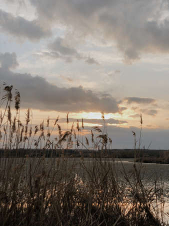 Beautiful sunset over an autumn lake and dry plantsの写真素材