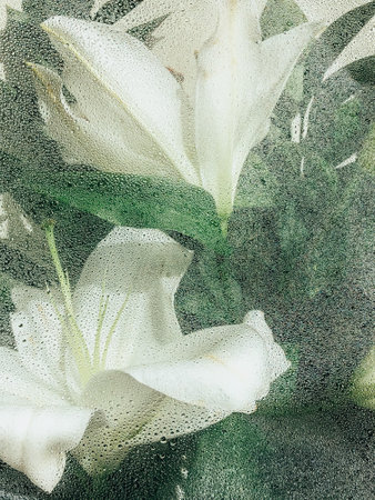 Beautiful spring flowers with green leaves close-upの写真素材