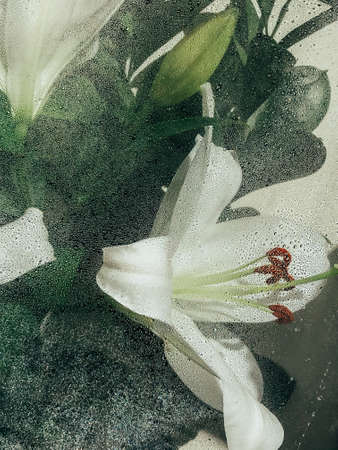 Beautiful spring flowers with green leaves close-upの写真素材