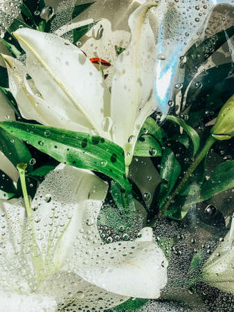 Beautiful spring flowers with green leaves close-upの写真素材