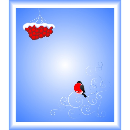 Bullfinch and a mountain ash branch  A vector illustrationのイラスト素材