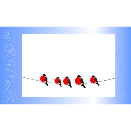 Bullfinch and a winter pattern  A frame  A vector illustration のイラスト素材