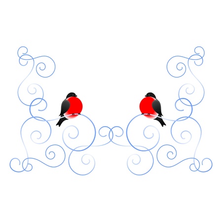 Bullfinch and a winter pattern  A frame  A vector illustration のイラスト素材