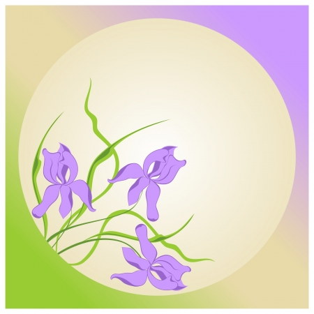 Violet iris flowers round frame.のイラスト素材