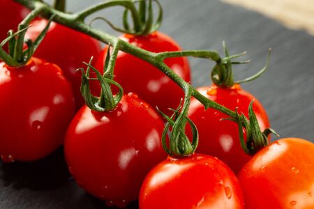 Delicious ripe red tomatoes on their green fresh branchの写真素材