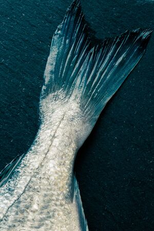 Raw fish placed on the diagonal on black background