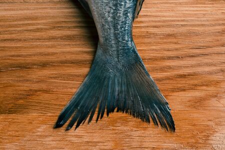 Wet fish tail in the middle of wooden background