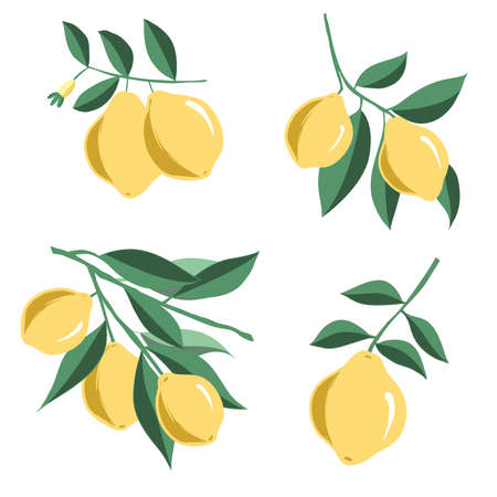 Yellow lemon set vector on white background, lemonade products. Elements for spring and summer design. Vector illustration.のイラスト素材