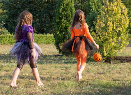 two witch girls go barefoot across the lawn with Jack-o-lanterns for candy. view from the back.の写真素材